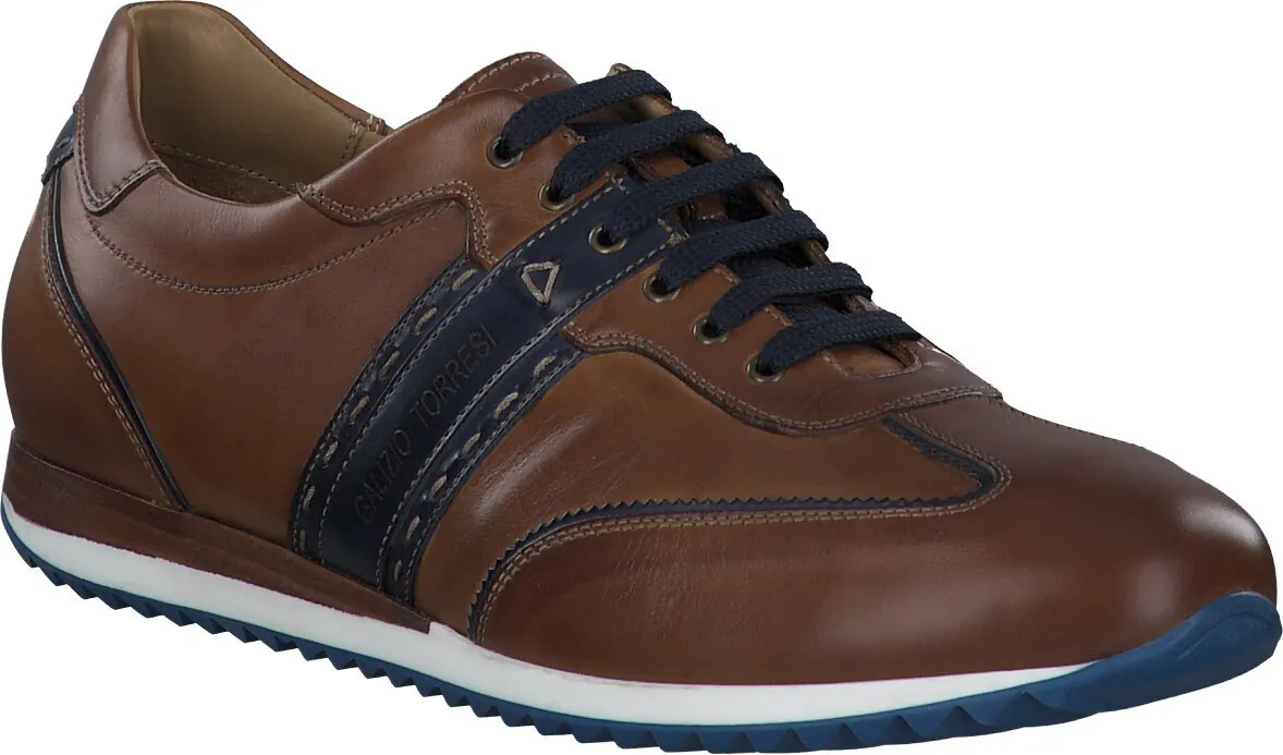 Herren-Schnürschuhe 244221932589 (Braun)